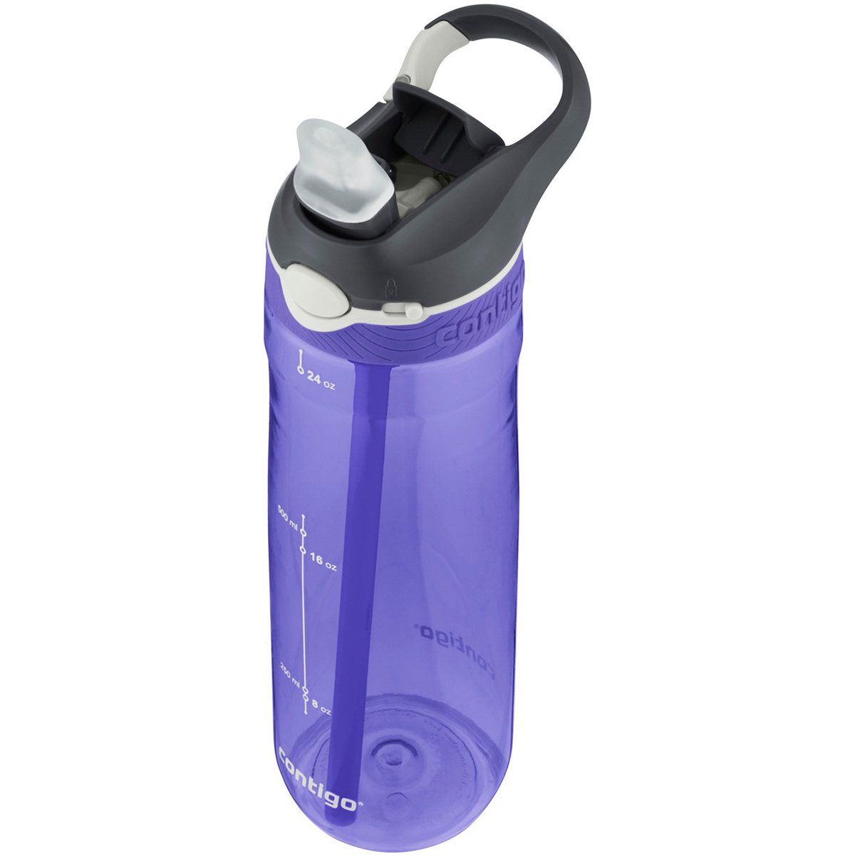 Contigo Ashland Grapevine