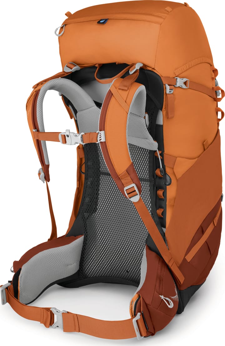 Osprey Kids' Ace 50 Orange Sunset Osprey