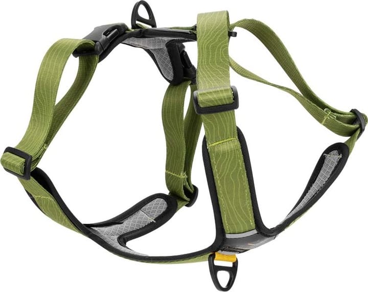 OllyDog Alpine Reflective Comfort Harness Cactus OllyDog