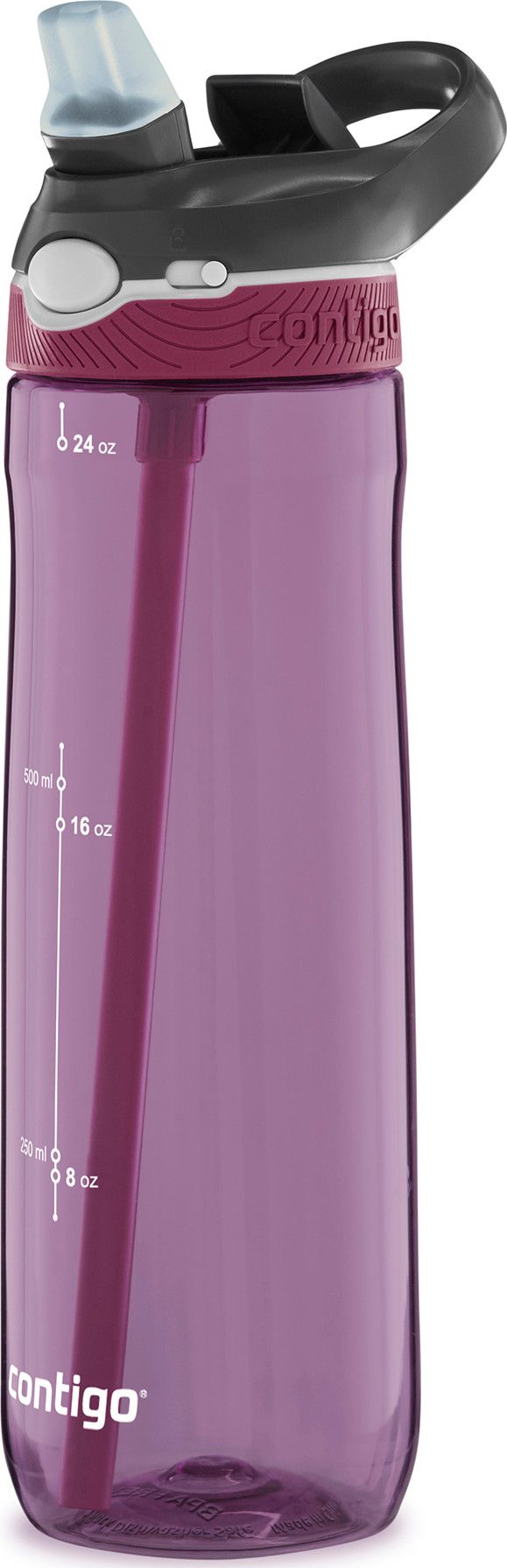 Contigo Ashland Water Bottle Passionfruit Contigo