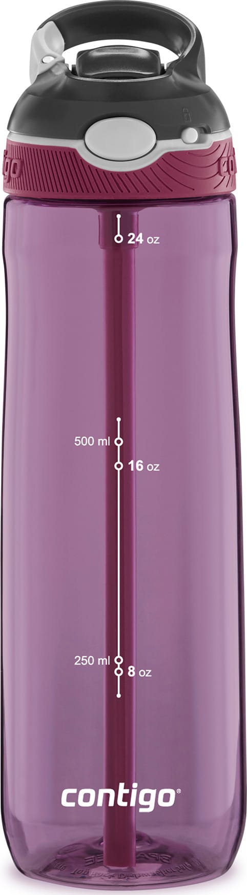 Contigo Ashland Water Bottle Passionfruit Contigo