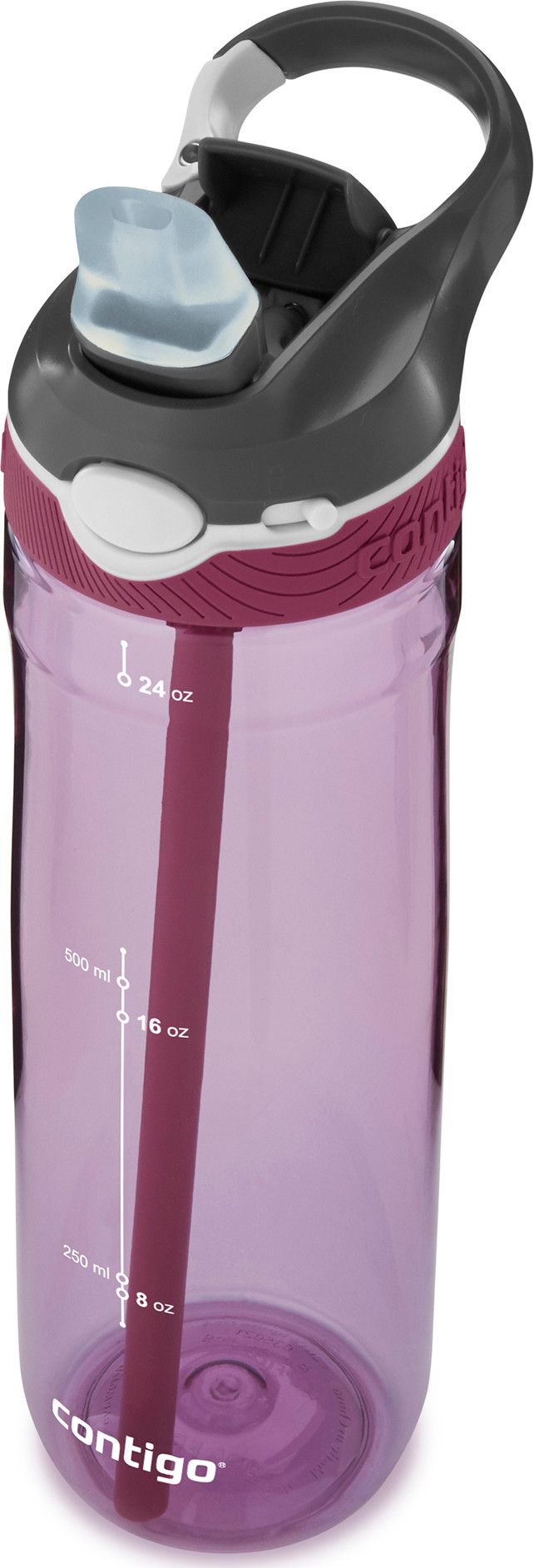 Contigo Ashland Water Bottle Passionfruit Contigo