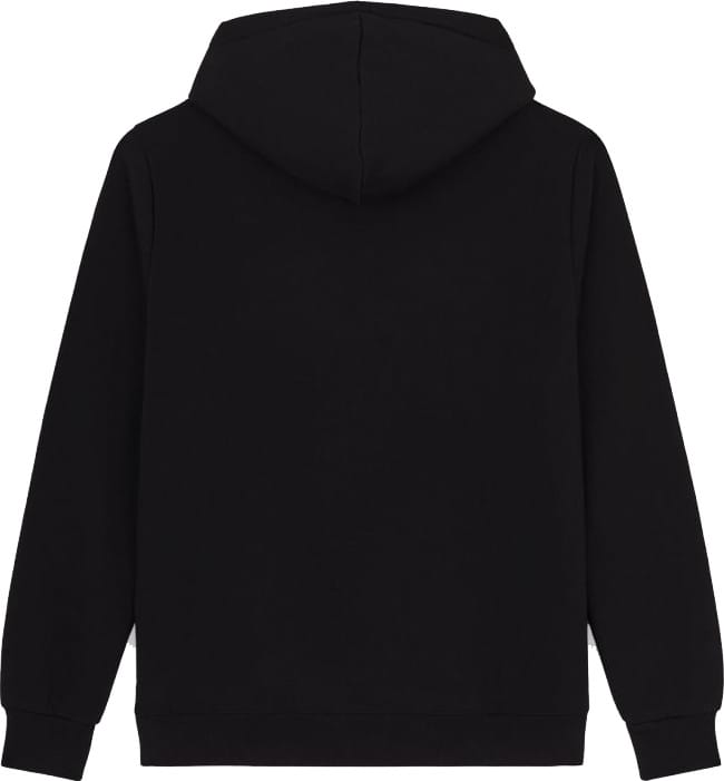 Dickies ICON LOGO HOODIE Black Dickies