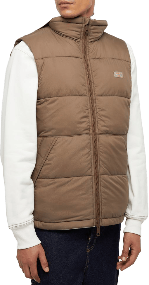 Dickies Men's Waldenburg Vest Mushroom Dickies