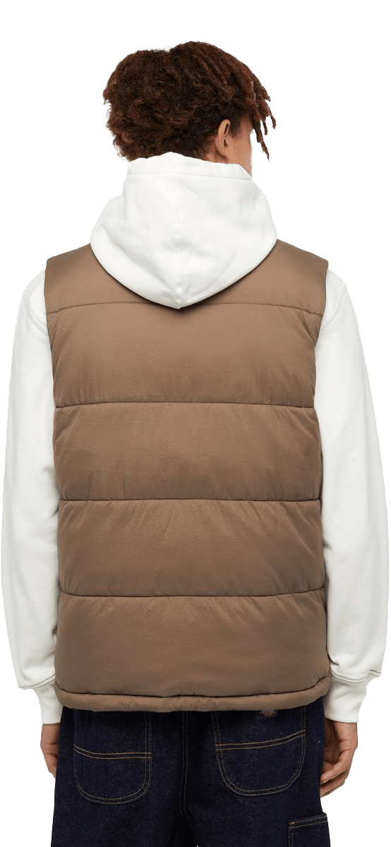 Dickies Men's Waldenburg Vest Mushroom Dickies