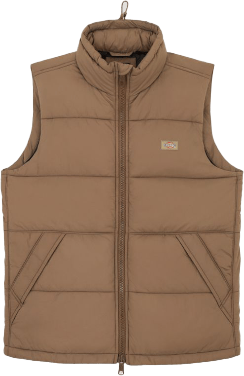 Dickies Men's Waldenburg Vest Mushroom Dickies