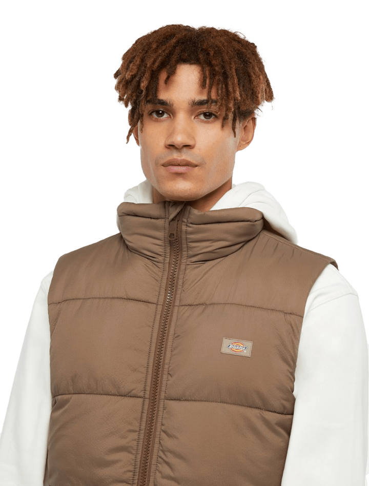 Dickies Men's Waldenburg Vest Mushroom Dickies