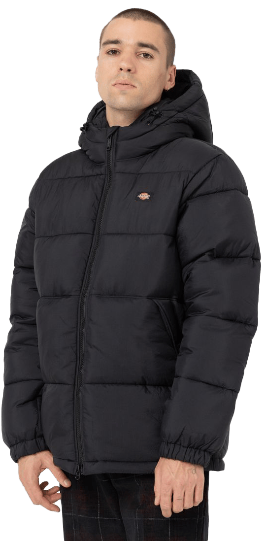 Dickies Men's Waldenburg Hooded Jacket Black Dickies