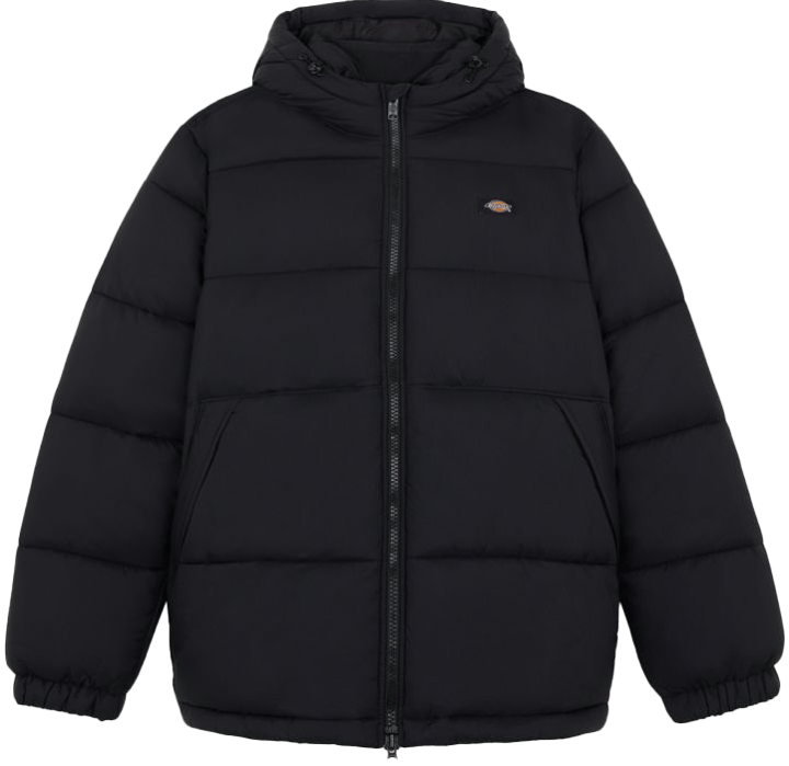 Dickies Men's Waldenburg Hooded Jacket Black Dickies