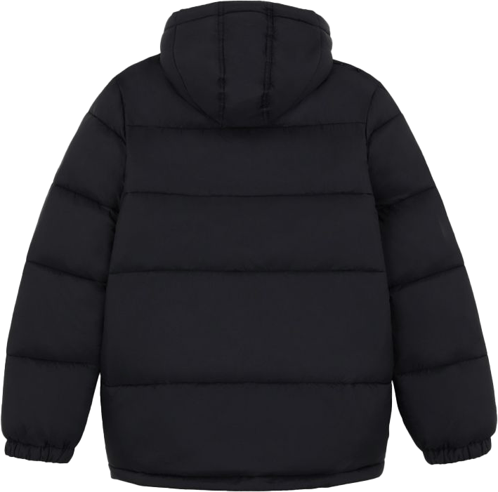 Dickies Men's Waldenburg Hooded Jacket Black Dickies