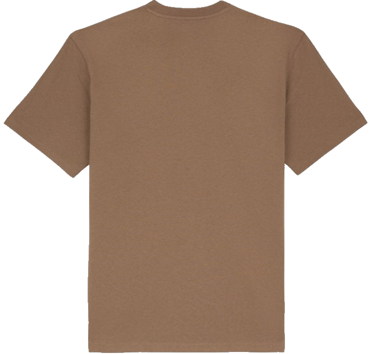 Dickies Men's Luray Short Sleeve Pocket Tee Mushroom Dickies