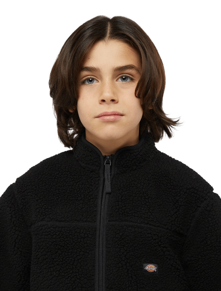 Dickies Kids' Mount Hope Fleece Black Dickies