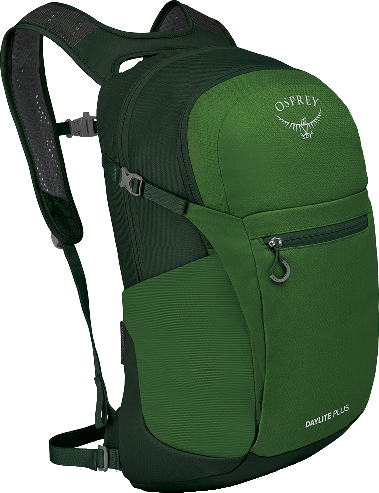 Osprey Daylite Plus Green Belt/green Canopy