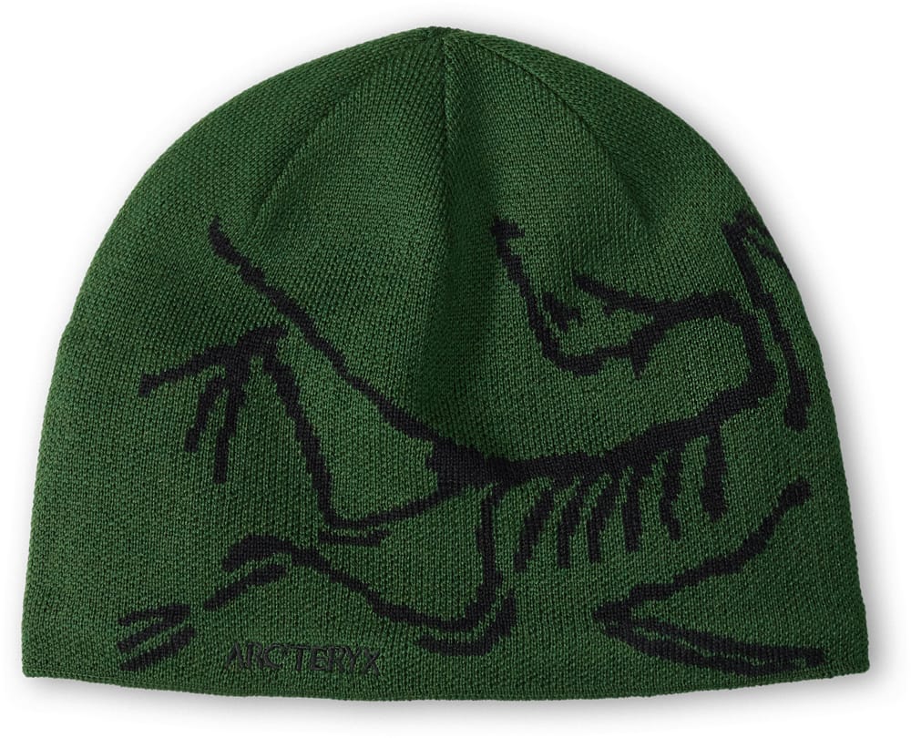 Arc'teryx Bird Head Toque Eden/Black