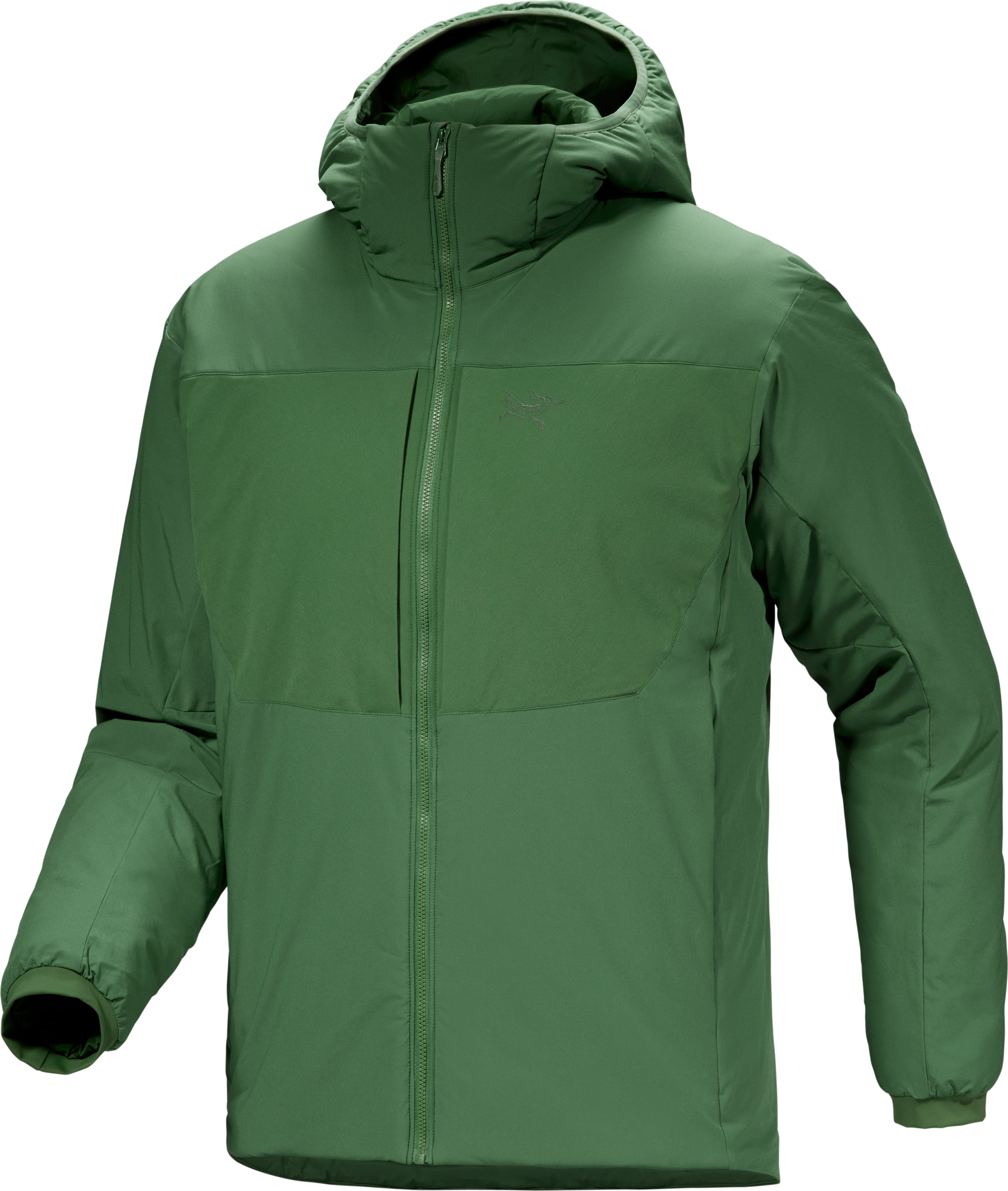 Arc’teryx Men’s Proton Heavyweight Hoody  Eden