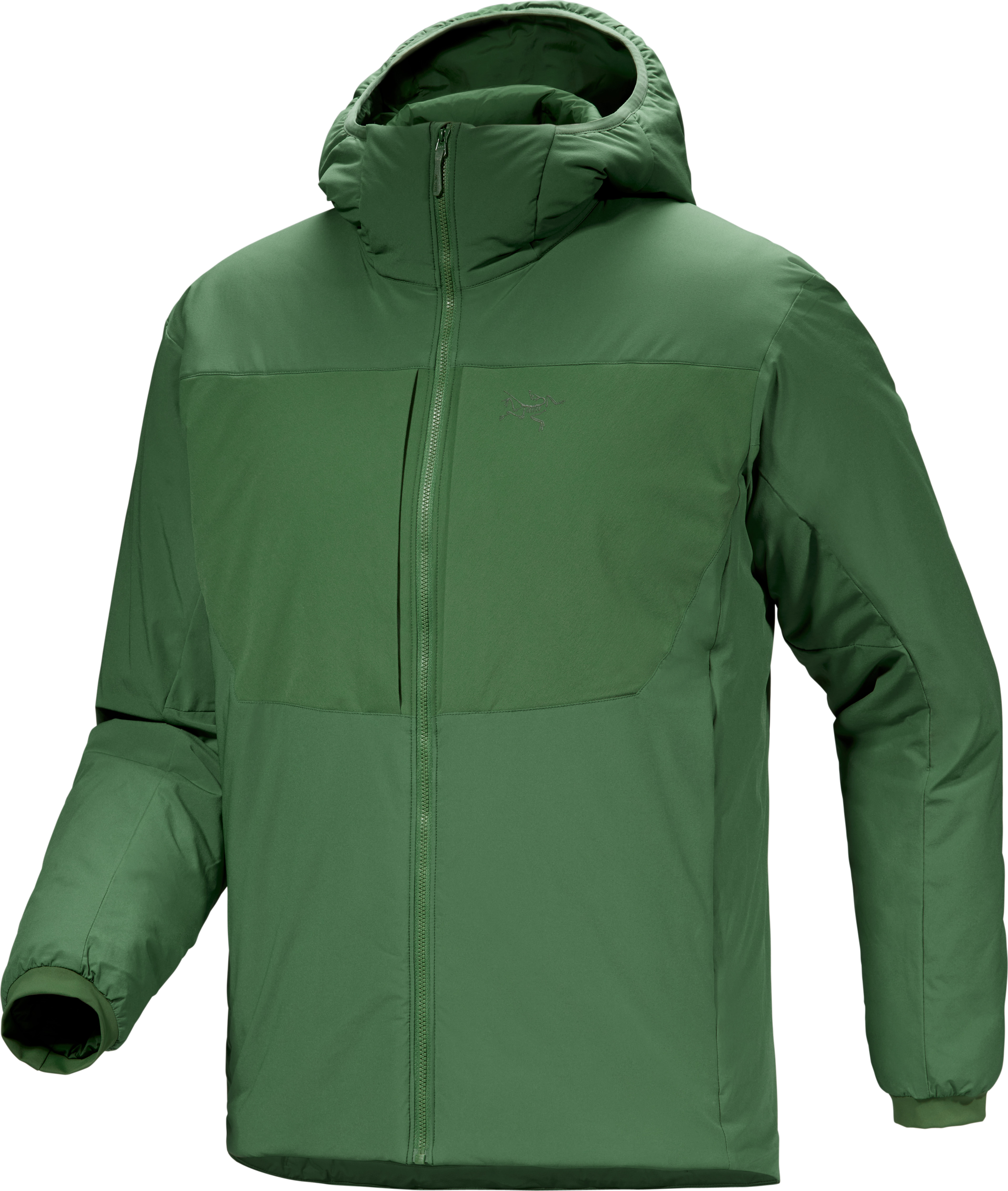 Arc’teryx Men’s Proton Heavyweight Hoody  Eden