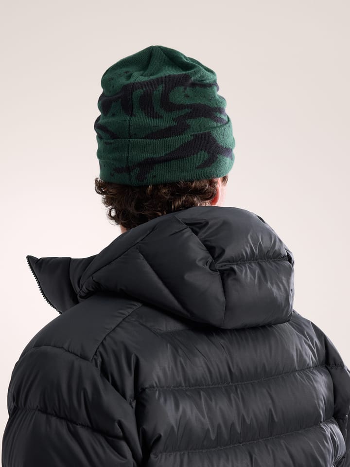 Arc'teryx Grotto Toque Eden/Black Arc'teryx