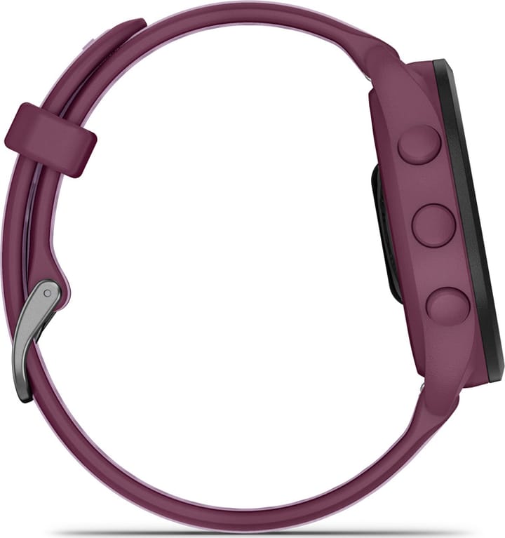 Garmin Forerunner 165 Music Berry/Lilac Garmin