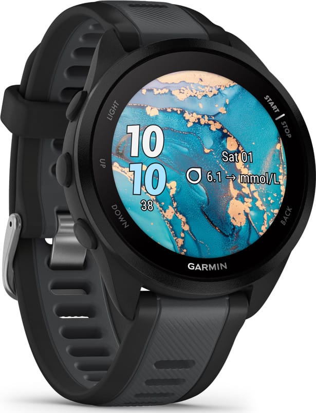 Garmin Forerunner 165 Black/Slate Grey Garmin