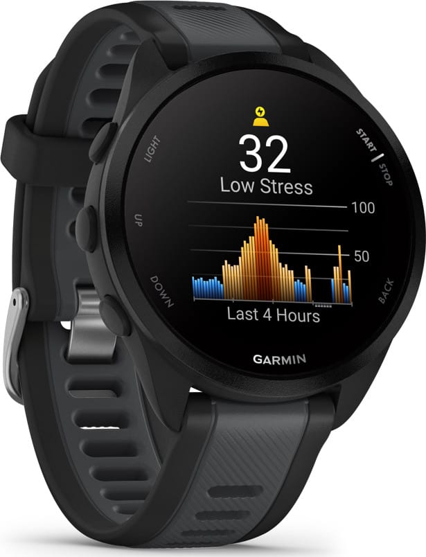 Garmin Forerunner 165 Black/Slate Grey Garmin