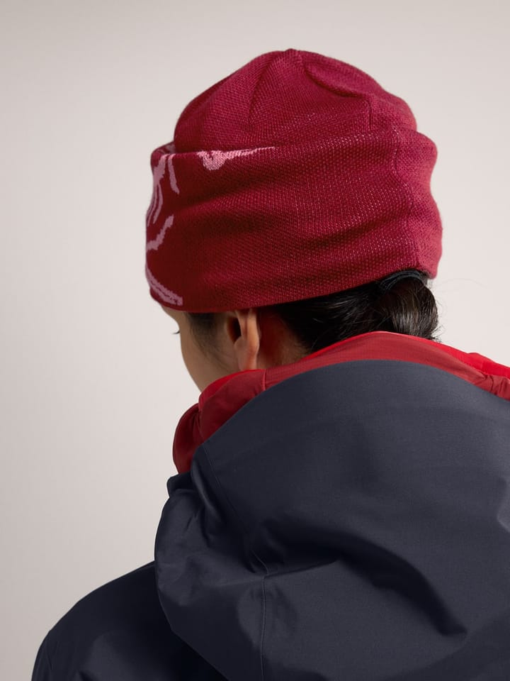 Arc'teryx Bird Head Toque Bordeaux/Turbo Ac Arc'teryx