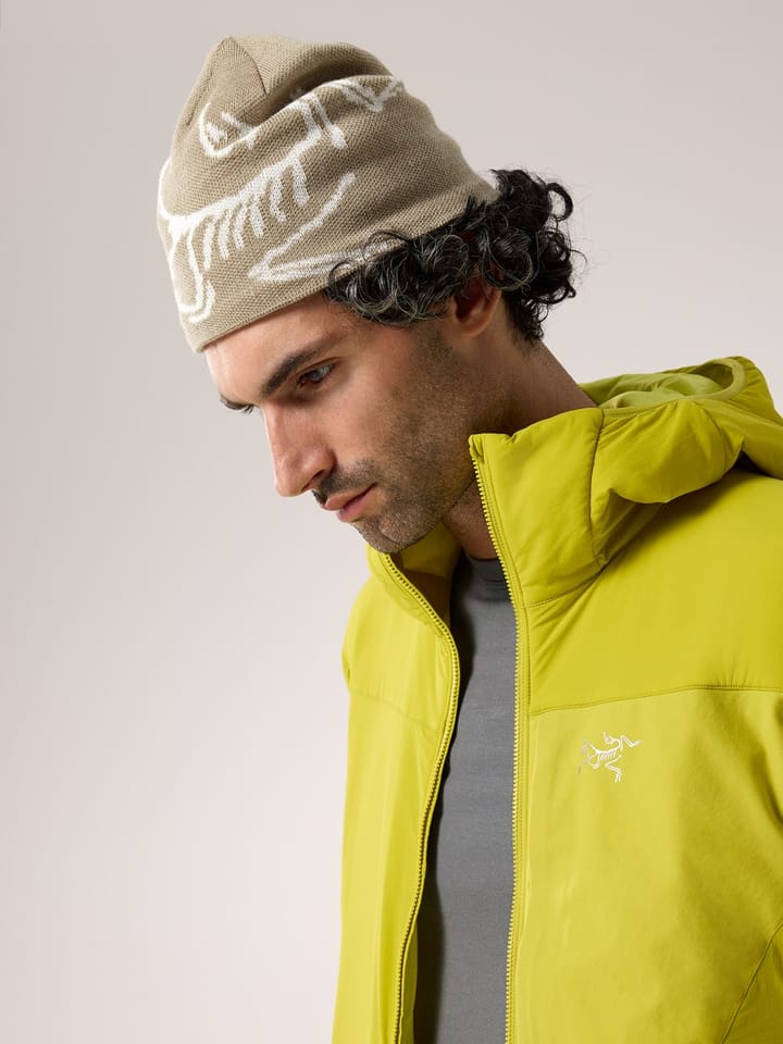 Arc'teryx Bird Head Toque Smoke Bluff/Arctic Silk Arc'teryx