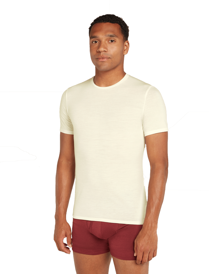 Icebreaker Men's Anatomica Shortsleeve Crewe Undyed Icebreaker