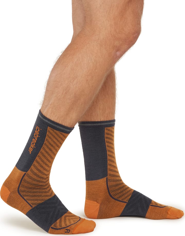 Icebreaker Men's Merino Run+ Ultralight Crew Ray/graphite Icebreaker