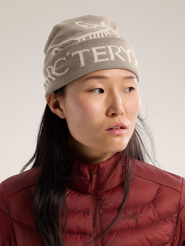 Arc'teryx Bird Word Toque Rune / Arctic Silk Arc'teryx