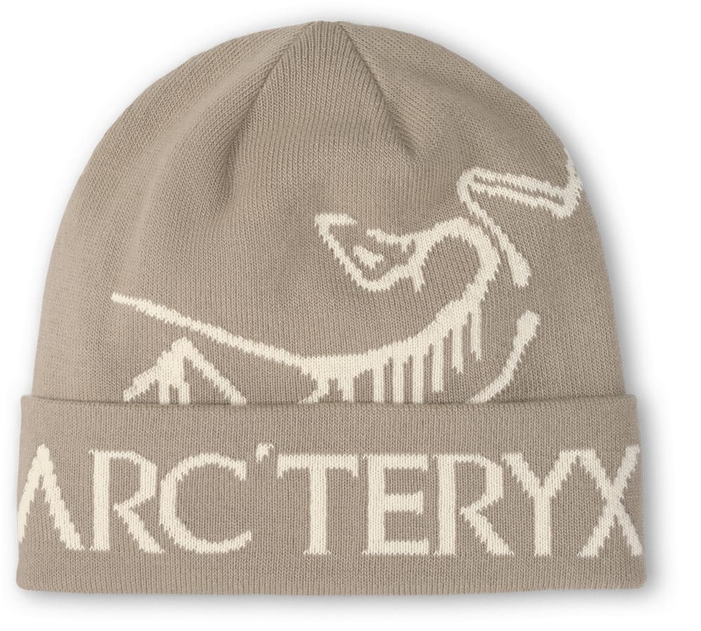 Arc'teryx Bird Word Toque Rune / Arctic Silk