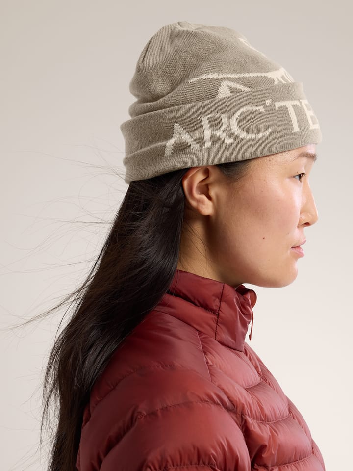 Arc'teryx Bird Word Toque Rune / Arctic Silk Arc'teryx