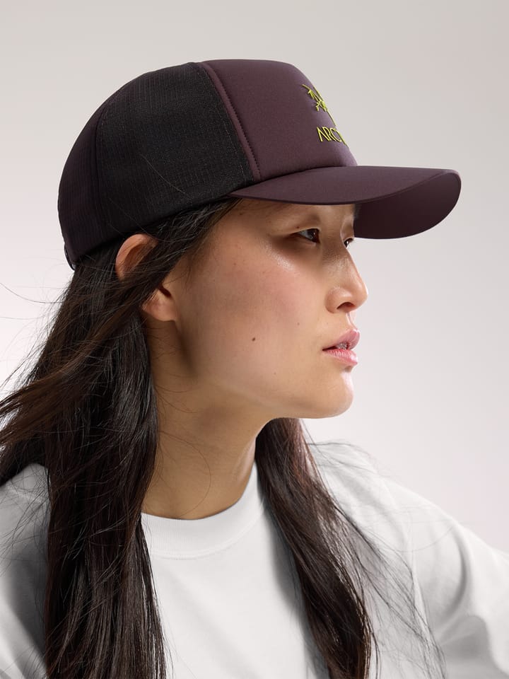 Arc'teryx Unisex Bird Word Trucker Curved Stratus / Dark Stratus Arc'teryx