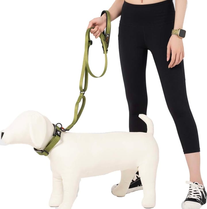 OllyDog Flagstaff Adjustable Leash  Cactus OllyDog