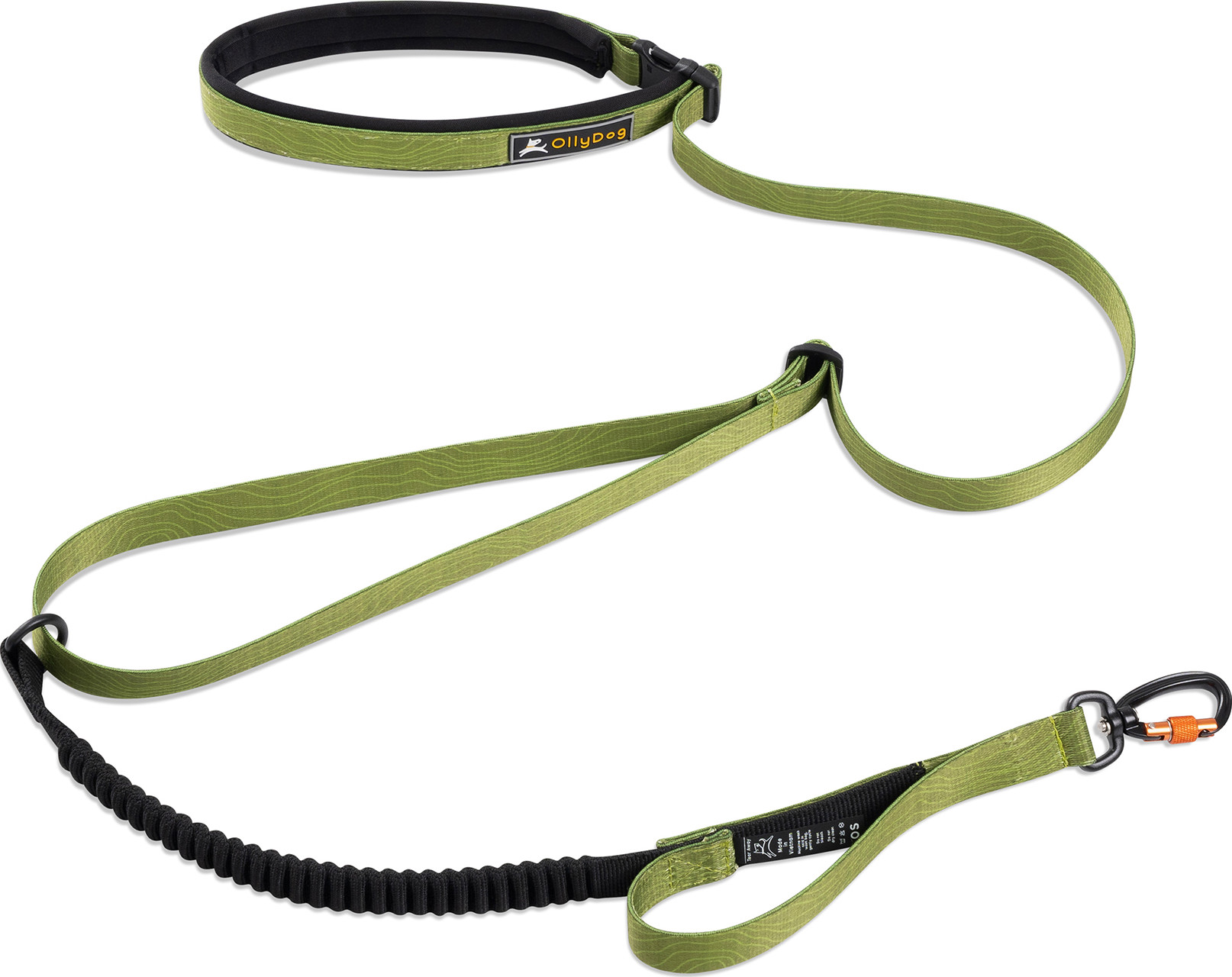 OllyDog Flagstaff Adjustable Spring Leash Cactus