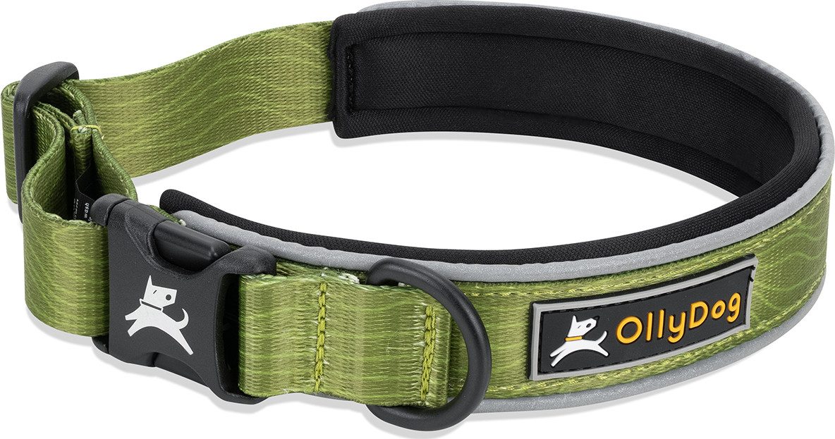 OllyDog Flagstaff Reflective Comfort Collar Cactus