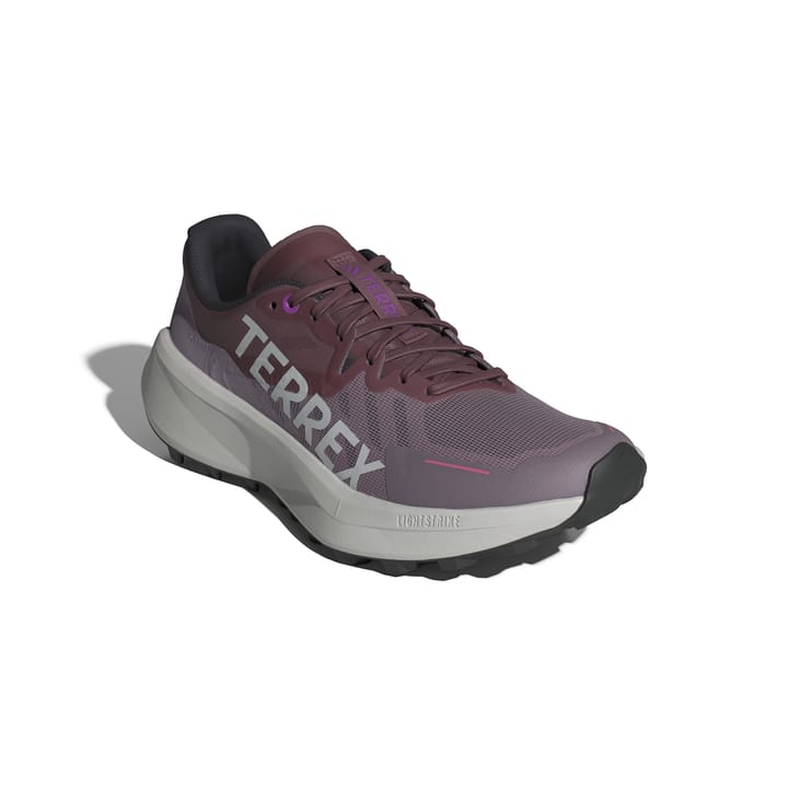 Adidas Terrex Agravic 3 W Prlofi/greone/pnkfus Adidas