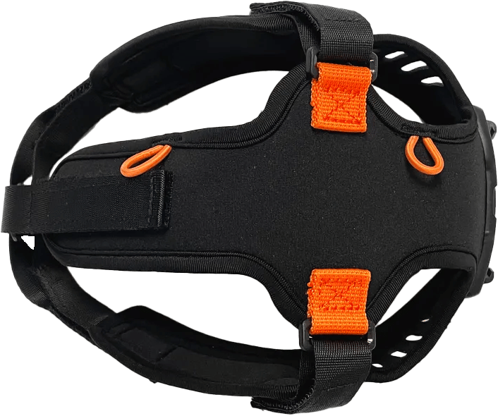 Silva Ignite Head Mount Silva