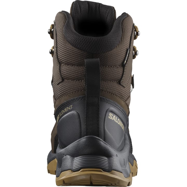 Salomon QUEST ELEMENT GTX Delicioso / Black / Dull Gold Salomon