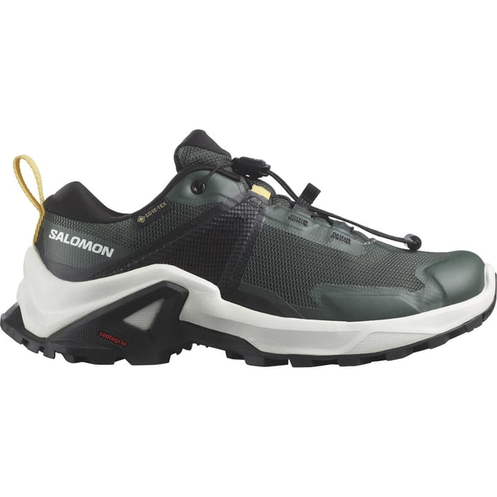 Salomon X Raise Gore-Tex Urban Chic / Vanilla Ice / Banana Cream Salomon