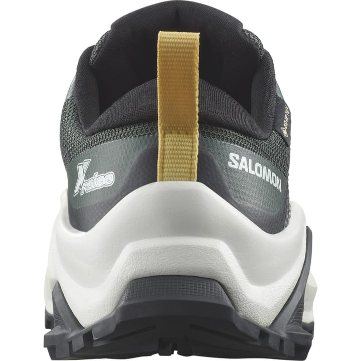 Salomon X Raise Gore-Tex Urban Chic / Vanilla Ice / Banana Cream Salomon