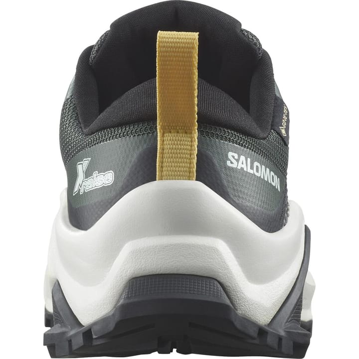 Salomon X Raise Gore-Tex Urban Chic / Vanilla Ice / Banana Cream Salomon