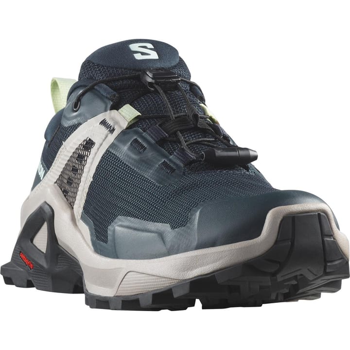 Salomon X Raise Gore-Tex Carbon / Ashes Of Roses / Clearly Aqua Salomon