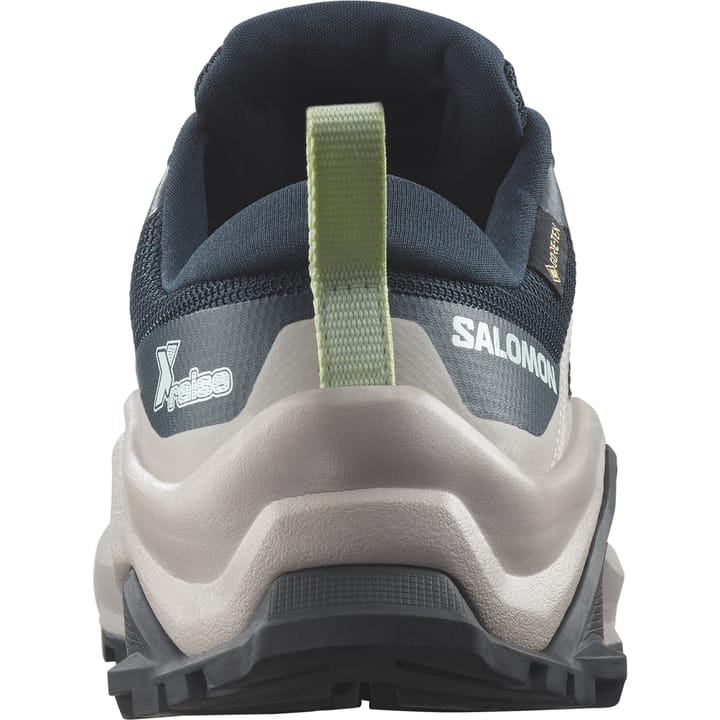 Salomon X Raise Gore-Tex Carbon / Ashes Of Roses / Clearly Aqua Salomon