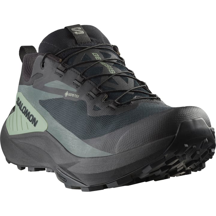 Salomon Men's Genesis GORE-TEX Black/Agave Green/Urban Chic Salomon