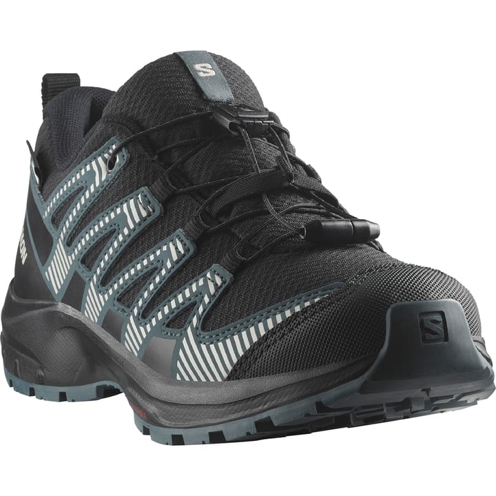 Salomon Juniors' XA Pro V8 ClimaSalomon Waterproof Black/Phantom/Dark Slate Salomon