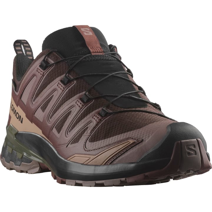 Salomon Men's XA Pro 3D V9 GORE-TEX Black Coffee/Rum Raisin/Olive Night Salomon