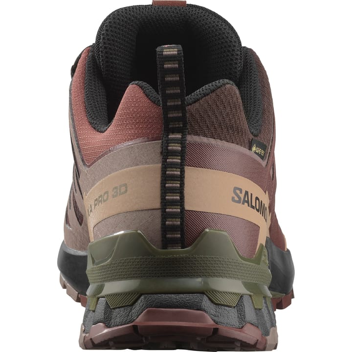 Salomon Men's XA Pro 3D V9 GORE-TEX Black Coffee/Rum Raisin/Olive Night Salomon