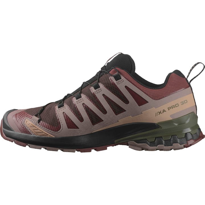 Salomon Men's XA Pro 3D V9 GORE-TEX Black Coffee/Rum Raisin/Olive Night Salomon