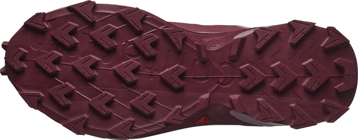 Salomon Supercross 4 Gore-Tex Tawny Port / Deauville Mauve / Cherry Tomato Salomon