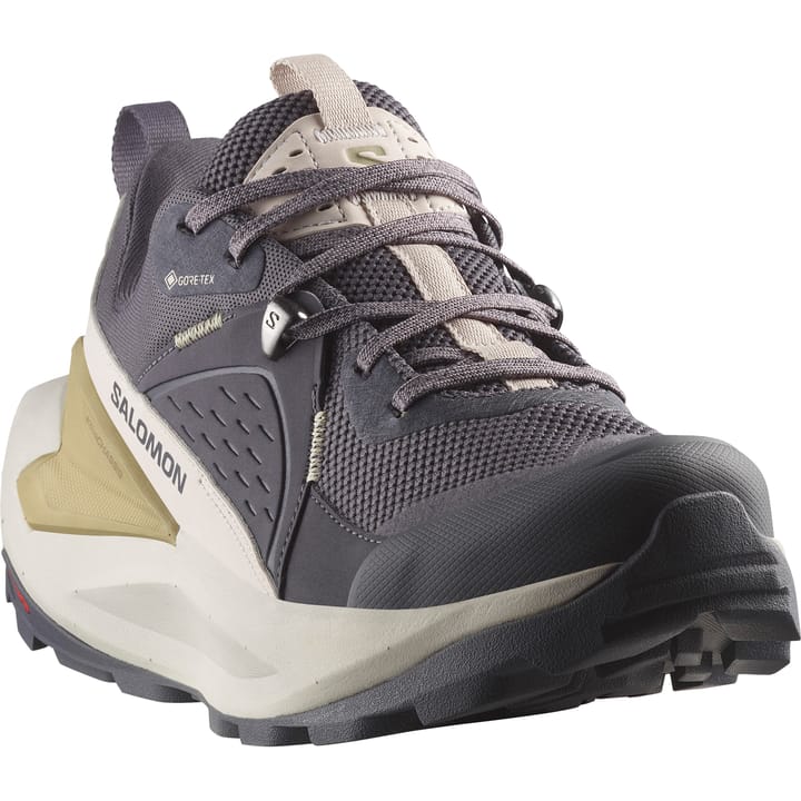 Salomon Women's Elixir GORE-TEX Nine Iron/Silver Cloud/Sponge Salomon